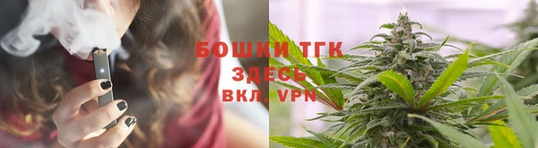 спайс Арсеньев