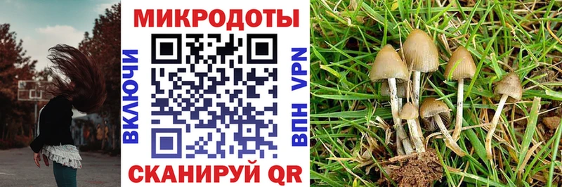 Псилоцибиновые грибы Cubensis  МЕГА ТОР  Шарья 